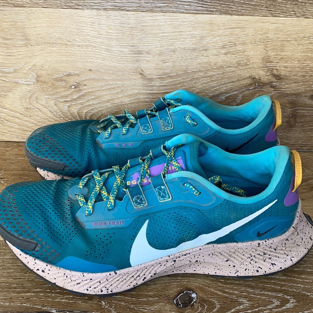 Nike Pegasus Trail 3 Size 11
